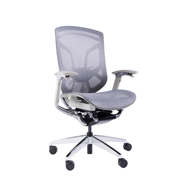 Quality Mid Back Ergonomic Office Mesh Chair Ergo Task Revolving For Back Pain for sale