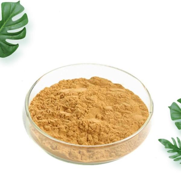 Buy cheap China 99% Stone pine spore Lycoris powder Radiata Extract Galanthamine Hydrobromide cheap from wholesalers