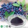 Buy cheap Best quality purity fresh bilberry extract 5% 10% from wholesalers