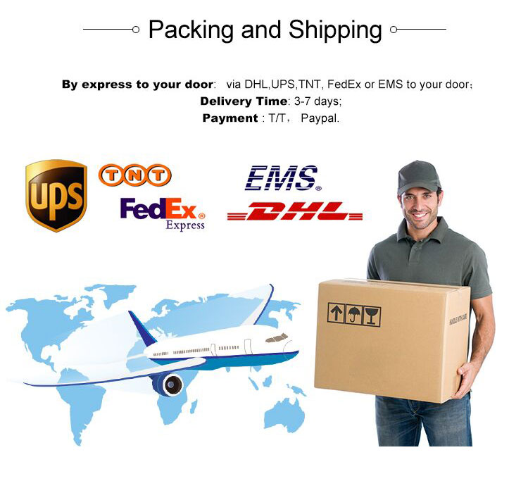 1080p60 Resolution Webcasting USB Storage IPTV Streaming Encoder for Video Streaming