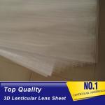 PLASTIC LENTICULAR 70 LPI PET lenticular sheet lenticular 3d image printing lens