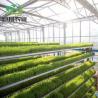 Buy cheap Aluminum Frame Glass Garden Greenhouse Victorian Commercial Greenhouse for Vegetables from wholesalers