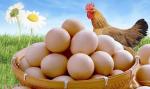 Laying Hens Peptides Probiotics Premix Poultry Feed Supplement