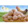 Buy cheap Laying Hens Peptides Probiotics Premix Poultry Feed Supplement from wholesalers