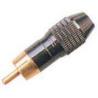 Buy cheap plug and connectors from wholesalers