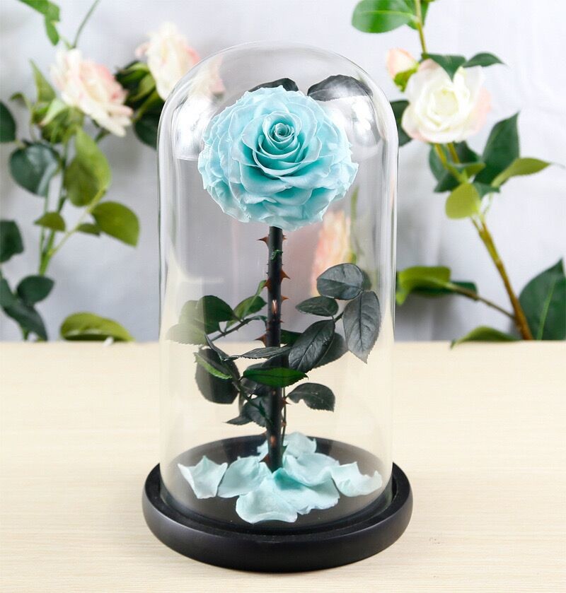 rose gift Factory Wholesale Eternal Beautiful Forever Little Prince Roses preserved rose in glass