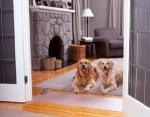 Clean Health pet training mat Harmless To Pets Quick Release mat
