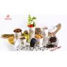 Buy cheap Biodegradable PLA 8oz Disposable Plastic Cup from wholesalers