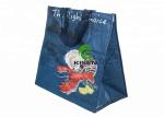 Gravure Printing Insulated Aluminium Foil Bag , Non Woven Picnic Thermal Bag