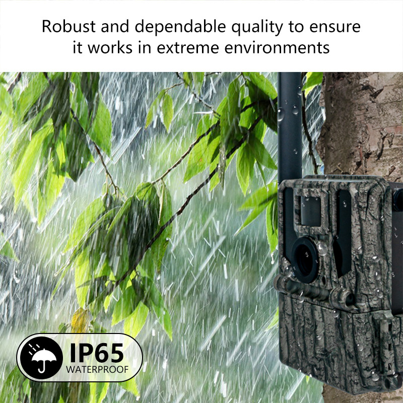 KW897 WILDLIFE CAMERA TRAIL WIRELESS DUAL-ANTENNAS HUNTING 4G NIGHT VISION REMOTE CONTROL WATERPROOF 2K VIDEO SD MEMOR