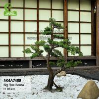 Buy cheap Indoor Decoration Anti Fading Artificial Black Pine Bonsai Real Touch product