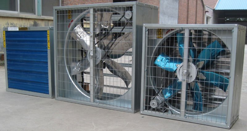 chicken house ventilation fan