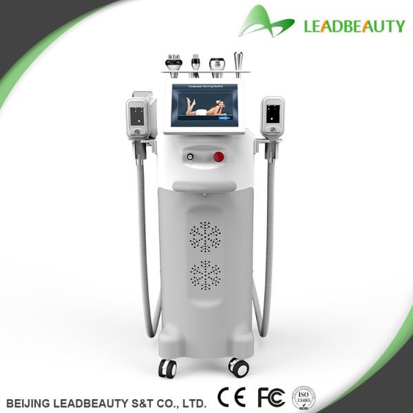 Buy cheap Five Big heads cryolipolysis slimming machine from wholesalers