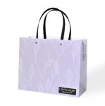 26x35x13cm Cardboard Gift Bags