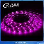 SPI 12V RGB Color LED Strip Light Outdoor And Indoor Decoration
