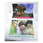 Matte Varnishing C2S Paper Travel Advertisement Poster