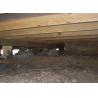 Buy cheap Adjustable Shoring Post With Sound Insulation And Fire Resistance from wholesalers