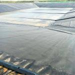Agriculture Water Conservancy 0.5mm Fish Farm Pond Liner 0.7mm Waterproof