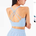 80% Nylon 20% Spandex Yoga Sports Bras Exercise Bra Tops SGS