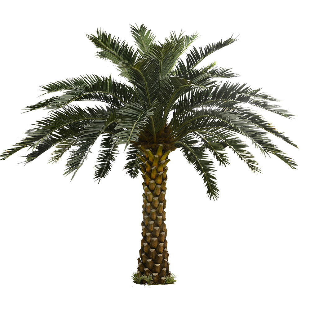 Supplier Height 500cm Artificial Date Palm Tree High Quality Outdoor Tropical Tree