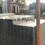 Movable Adjustable Patient Nursing Medical Bed Hospital Equipment