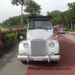 USA Popular Classic Golf Carts 48V DC Motor 8 Seat Electric Classic Car