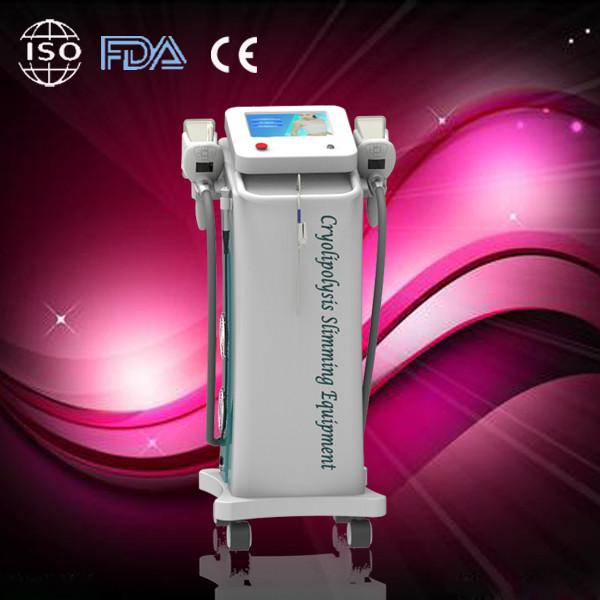 Buy cheap Safe fat freeze zeltiq cryolipolysis slimming machine Vacuum System from wholesalers