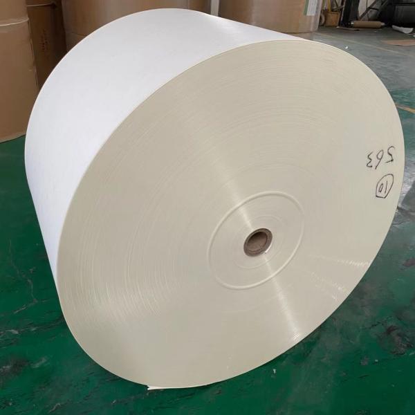 Buy cheap 190gsm Waterproof Flexo Jumbo Paper Raw Material For Paper Cups from wholesalers