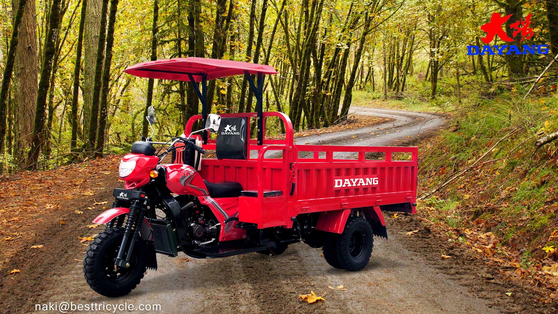DAYANG 350CC Water Cooled 5 Wheeler Gas Motorized Tricycle with and CCC Certification