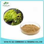 Factory Supply Iceland Moss Extract Powder 10:1 - 50:1