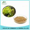 Buy cheap Factory Supply Iceland Moss Extract Powder 10:1 - 50:1 from wholesalers