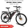 Buy cheap Electric Bicycle Frame Magnesium Alloy 40Km/H Electric Bicycle from wholesalers