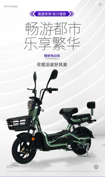 ELECTRIC VEHICLE WITH REMOTE CONTROL KEY TWO-PERSON ELECTRIC BICYCLE NEW BATTERY