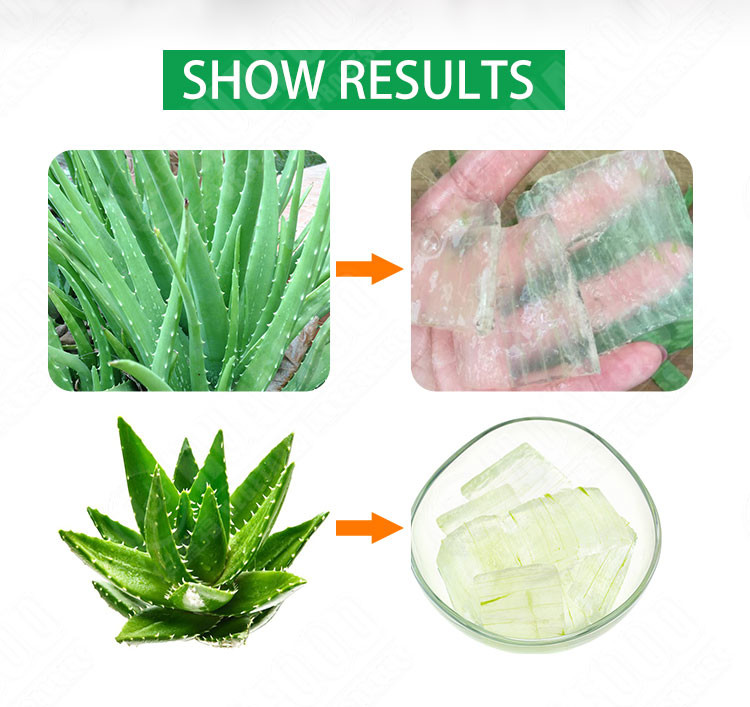 Automatic Aloe Vera Peeling Machine/Aloe Vera Extraction Machine