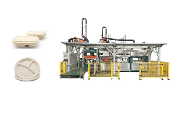 Buy cheap Biodegradable Lunch Tray Pulp Molded Production Machine from wholesalers
