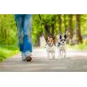 Buy cheap Tangle Free 100% Nylon Dog Leash Convenient Easy Cleaning OEM ODM Available from wholesalers