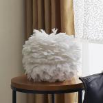 Pink Feather Table Lamp Warm and Romantic Girl Children's Room Table light(WH