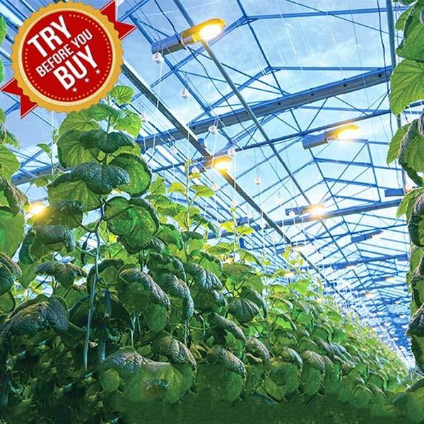 Buy cheap CE Steel Frame Mounting Winter Greenhouse Solar System Tin Film Module Support Structure For Green Space from wholesalers