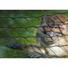 Buy cheap Safety 304 304L 316 316L Stainless Steel Cable Netting Knotted Rope Mesh from wholesalers