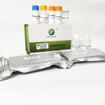 Porcine Toxoplasma Rapid Test Kit Toxoplasma IgG ELISA Antibody Test Kit 192