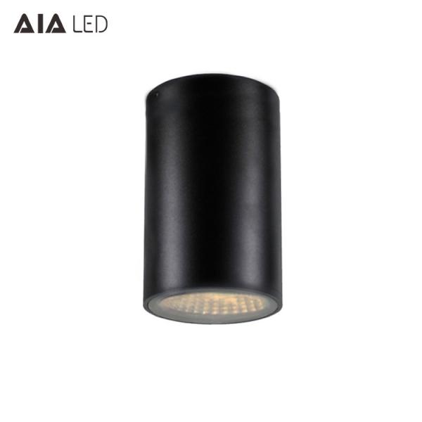 IP65 rainproof cylinder 25W COB led downlight &outdoor surface downlight for
