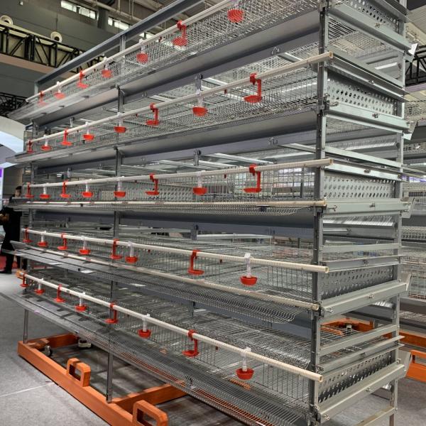 Buy cheap Q235 Layer Chicken Cage from wholesalers
