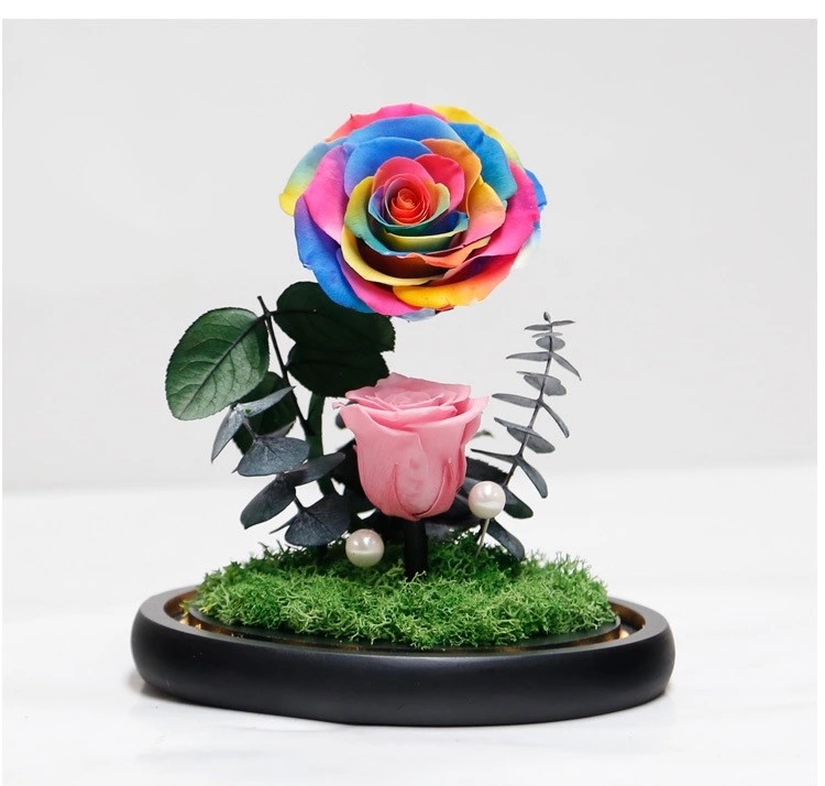 2021 New In Christmas Preserved Rose In Glass Dome Rose With Curving Stem In Glass Bell rose gift