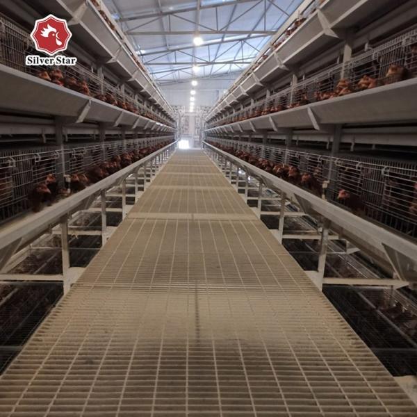 Poultry Farm Hens Layer Battery Chicken Cage H Type With Automatic Egg
