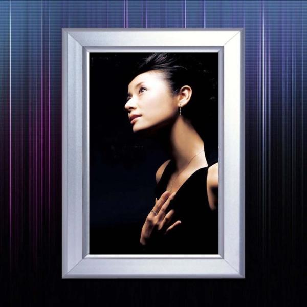 Buy cheap ROHS Clip Outdoor Led Light Box Signage Clear White from wholesalers