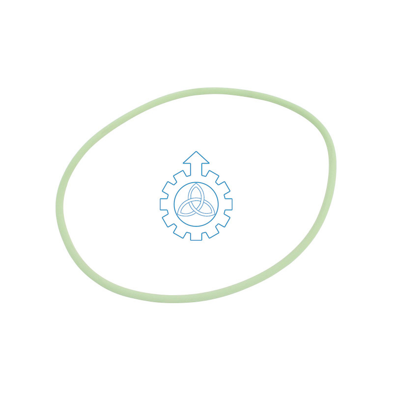 o-ring 9967415,1279569,08194880,08194883