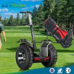 Segway Self Balance Electric Scooter Portable , Two Wheel Balance Scooter 110