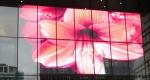 Buy cheap P15.625 SMD3512 LED Outdoor Transparent LED Screen from wholesalers