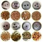 Stainless Steel Dog Biscuit Making Machine , Automatic Dog Cookie Machine