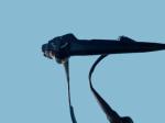 BF-P160 Bronchoscope 120 Deg Field Of View Flexible Scope For Comprehensive